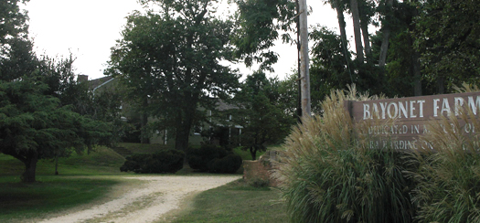 bayonet banner
